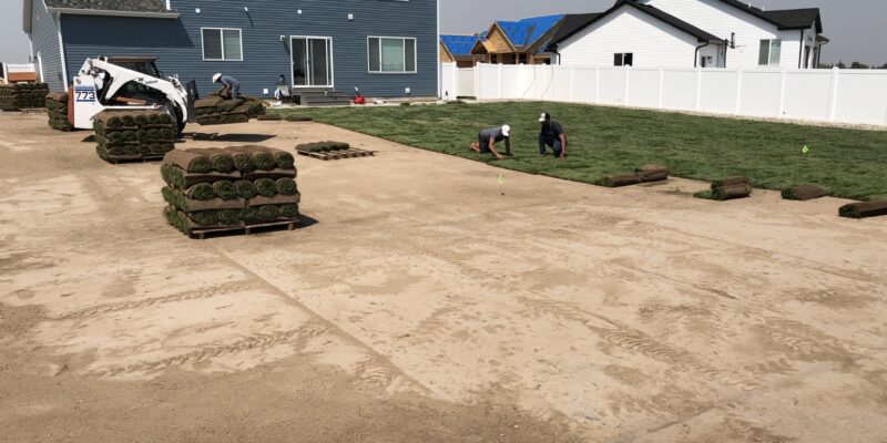 three men installing rolls of grass on property