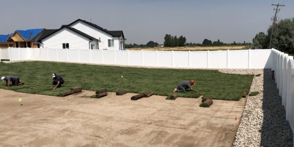 three workers installing sod