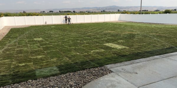 Completed sod installation