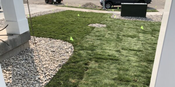 Image of sod installation in the front garden