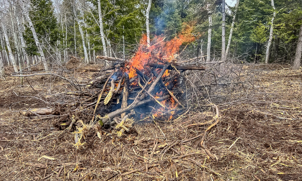 Burning slash piles